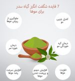 اسپری طبیعی سدر کد302475 - Image 2