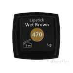 رژلب اینلی مدل wet brown شماره 470 - Image 3