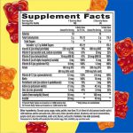 پاستیل مولتی ویتامین و مواد معدنی کودکان L'il Critters Gummy ساخت آمریکا (62 عددی)